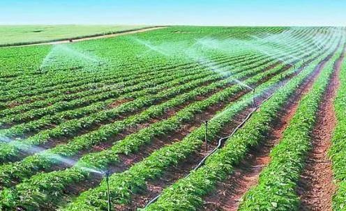 黑丝袜插入小穴在线农田高 效节水灌溉